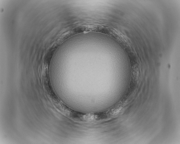 X0000087370225200705111718