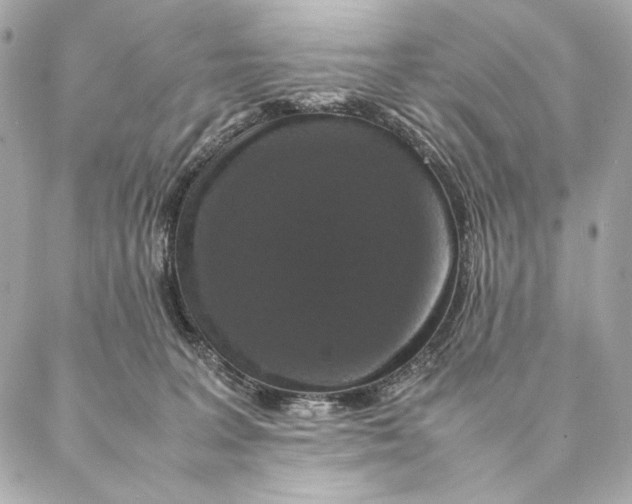 X0000087370227200705111718