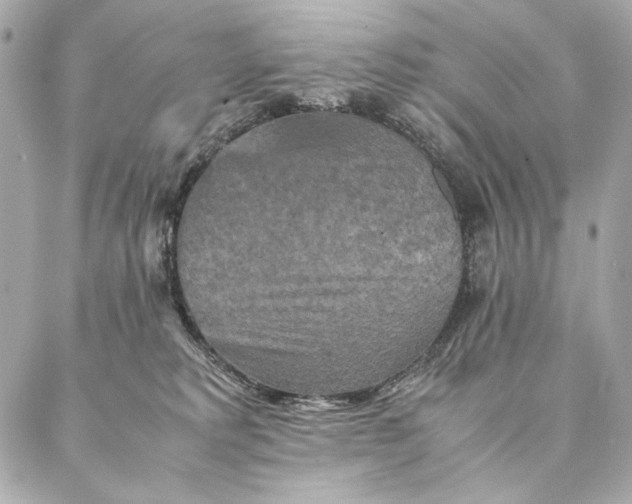 X0000087370229200705111718