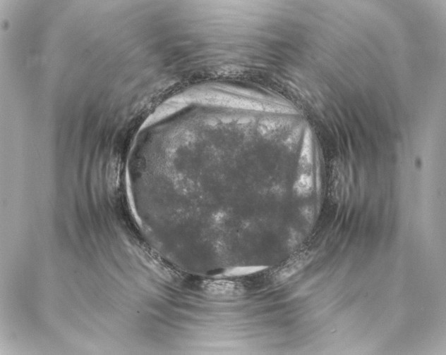 X0000087370230200705111718