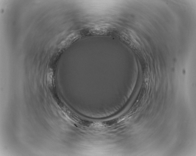 X0000087370231200705111718