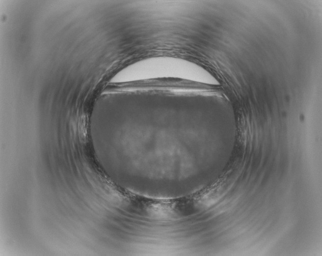 X0000087370232200705111718