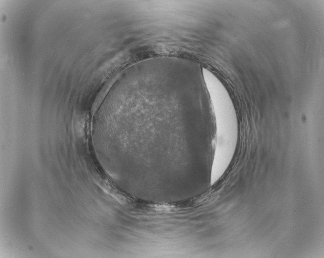 X0000087370233200705111718