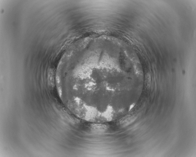 X0000087370234200705111718