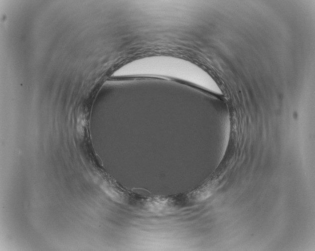 X0000087370235200705111718