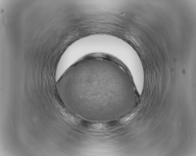 X0000087370237200705111718