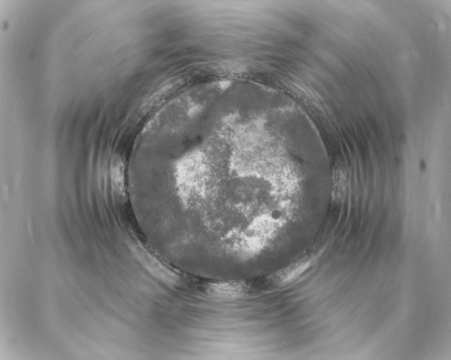 X0000087370238200705111718