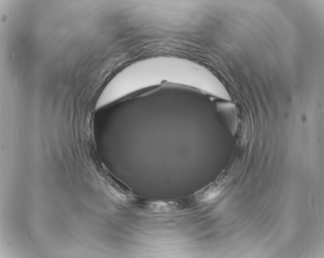 X0000087370239200705111718