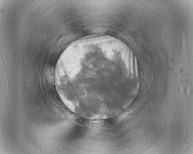 X0000087370240200705111718