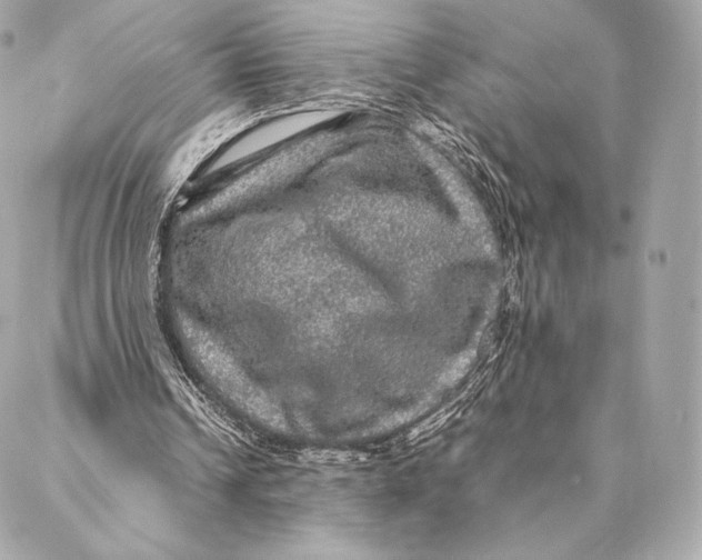 X0000087370242200705111717