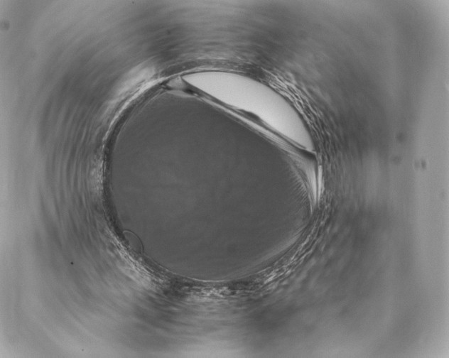 X0000087370243200705111717