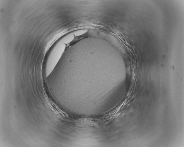 X0000087370244200705111717