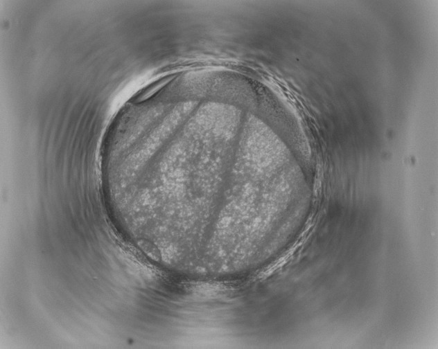 X0000087370246200705111717