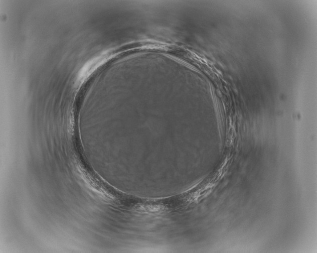 X0000087370247200705111717