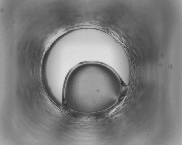 X0000087370248200705111717