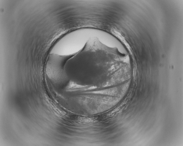 X0000087370249200705111717