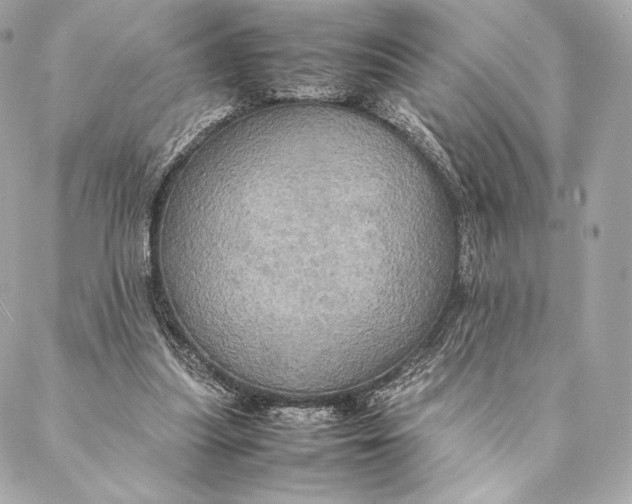 X0000087370251200705111717