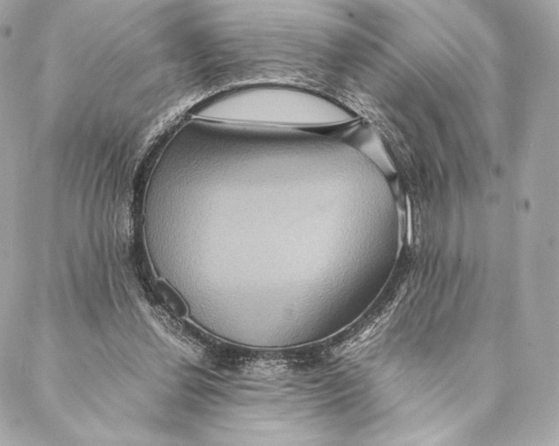 X0000087370252200705111717