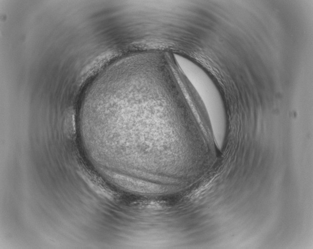 X0000087370254200705111717