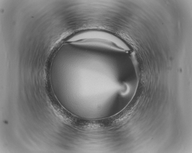 X0000087370256200705111717