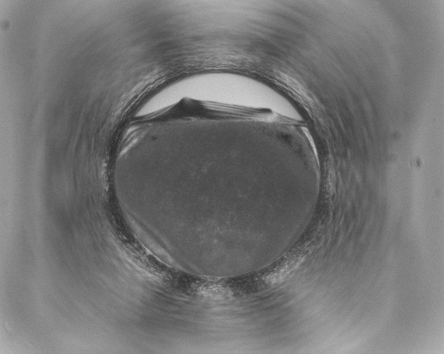 X0000087370258200705111717