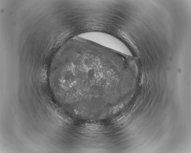 X0000087370259200705111717