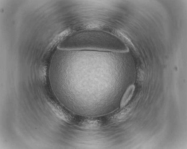 X0000087370260200705111717