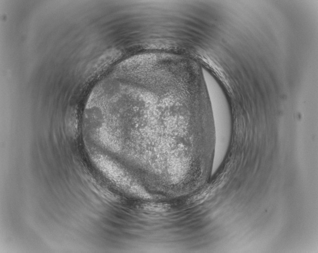 X0000087370261200705111718