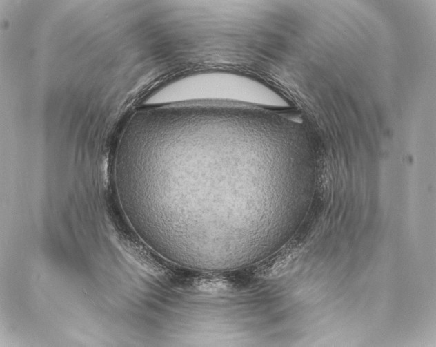 X0000087370262200705111718