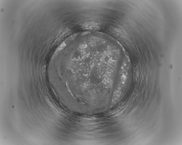 X0000087370263200705111718