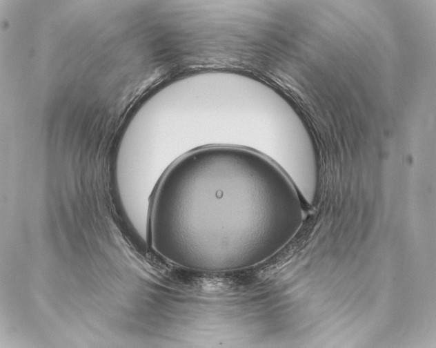 X0000087370264200705111718