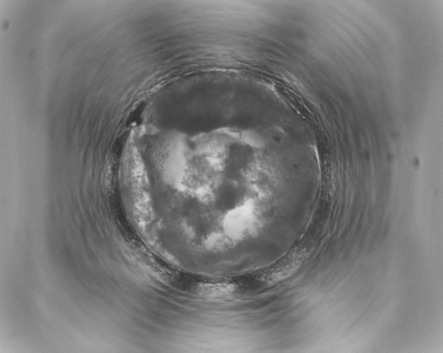 X0000087370266200705111718