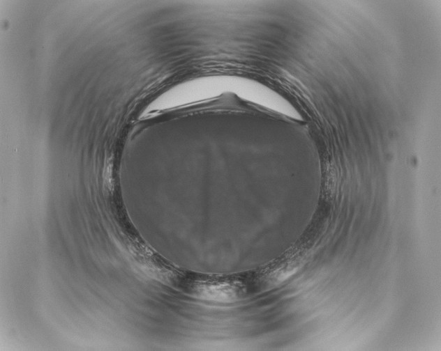 X0000087370267200705111718