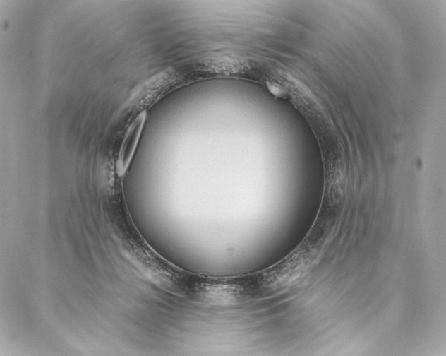 X0000087370268200705111718