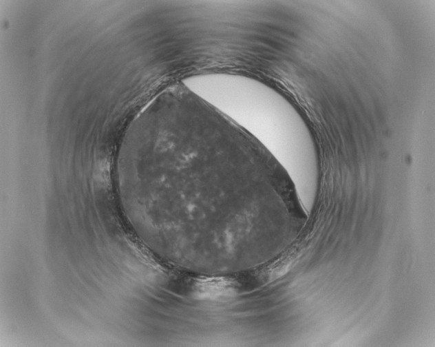 X0000087370269200705111718