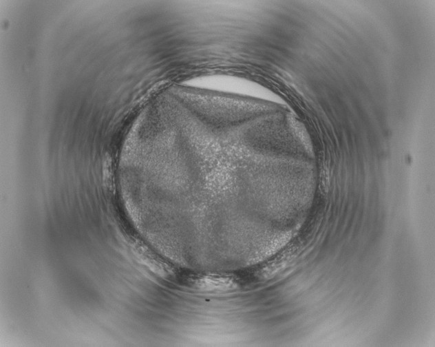 X0000087370270200705111718