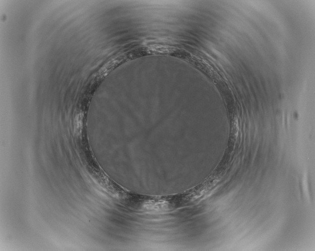 X0000087370271200705111718