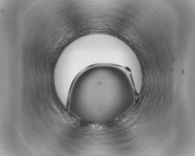 X0000087370272200705111718