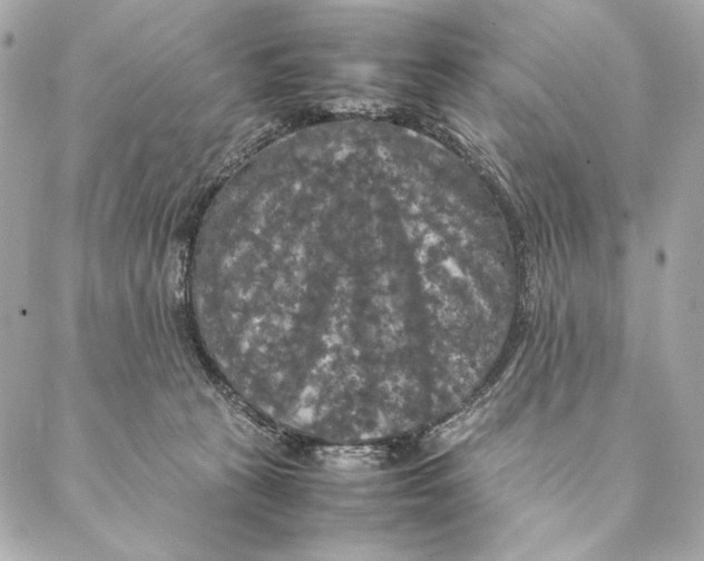 X0000087370273200705111718