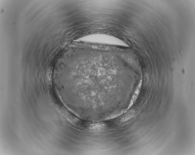 X0000087370274200705111718