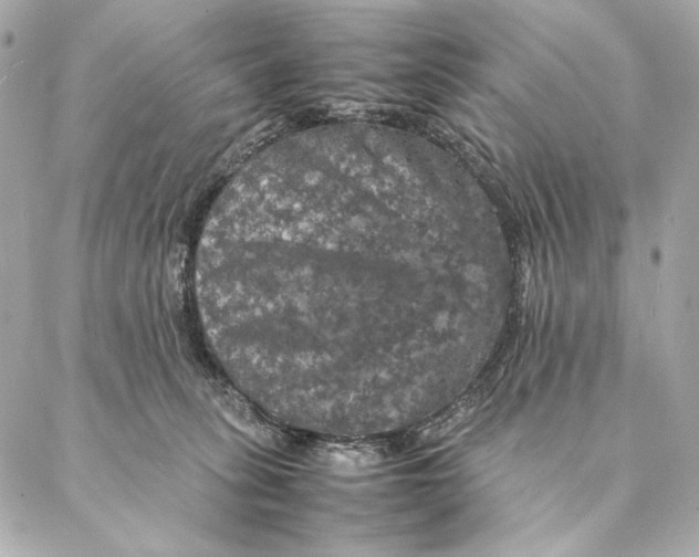 X0000087370275200705111718