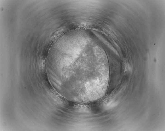 X0000087370276200705111718