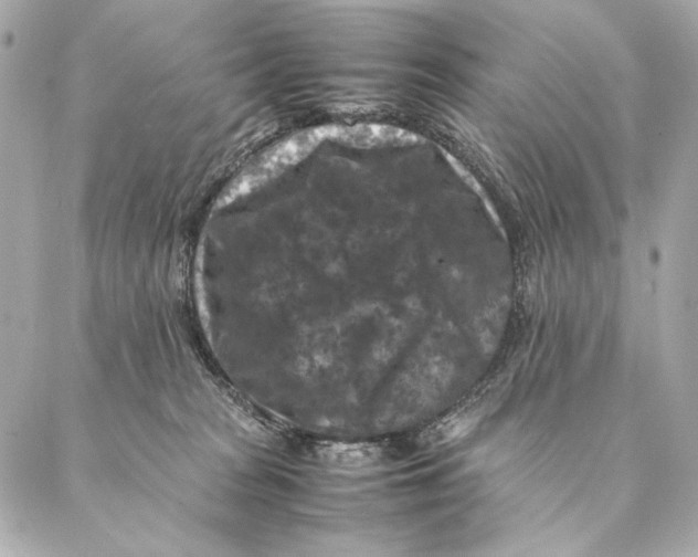 X0000087370277200705111718