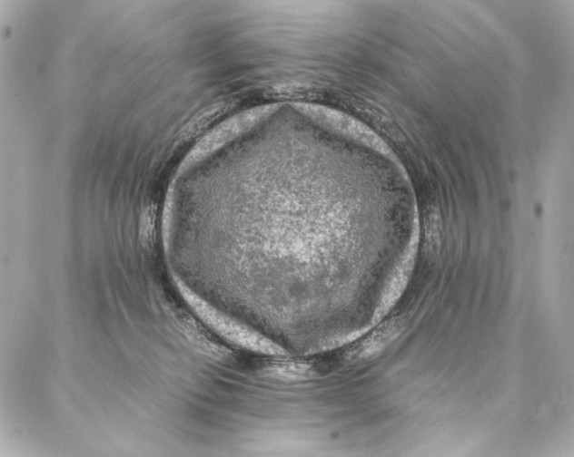 X0000087370278200705111718