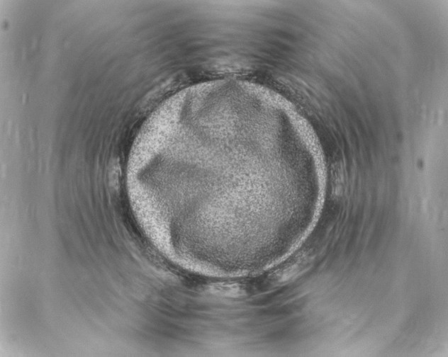 X0000087370279200705111718