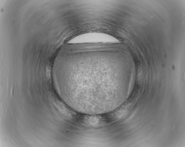 X0000087370282200705111718