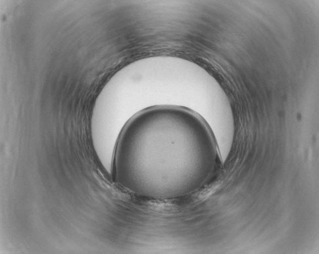 X0000087370284200705111718