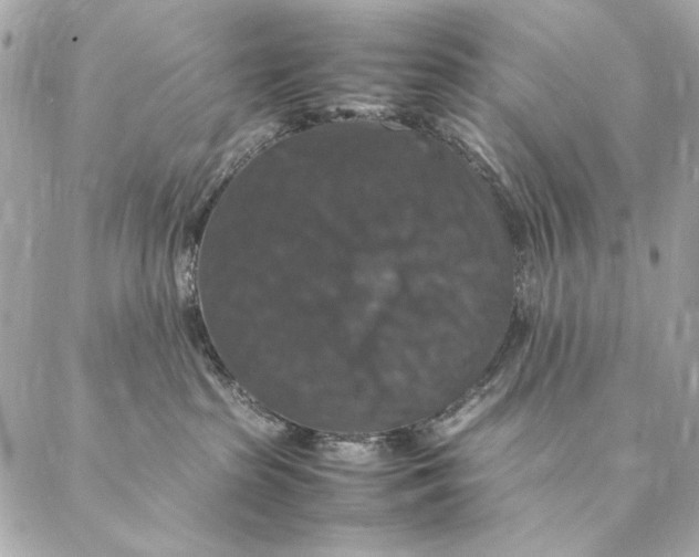 X0000087370285200705111718