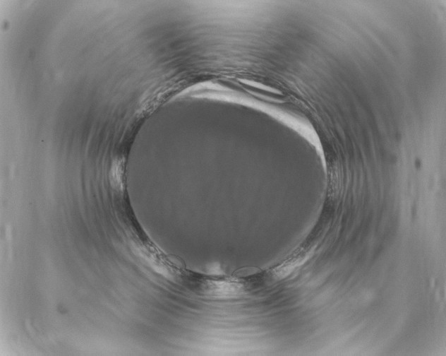 X0000087370286200705111718