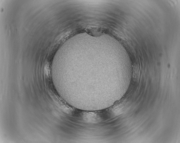 X0000087370287200705111718